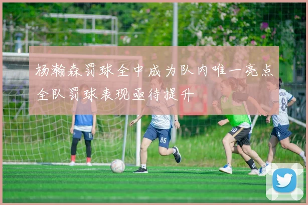 杨瀚森罚球全中成为队内唯一亮点全队罚球表现亟待提升